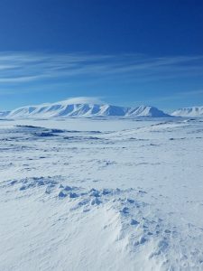 Ellesmere Island Frühling