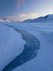 Ellesmere Island Herbst
